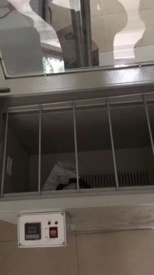 Horno de secado de películas de infrarrojo lejano HDG-200C 220V 2000W