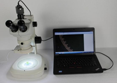 Microscopio estereoscópico digital HSM-645S con cámara de 3MP